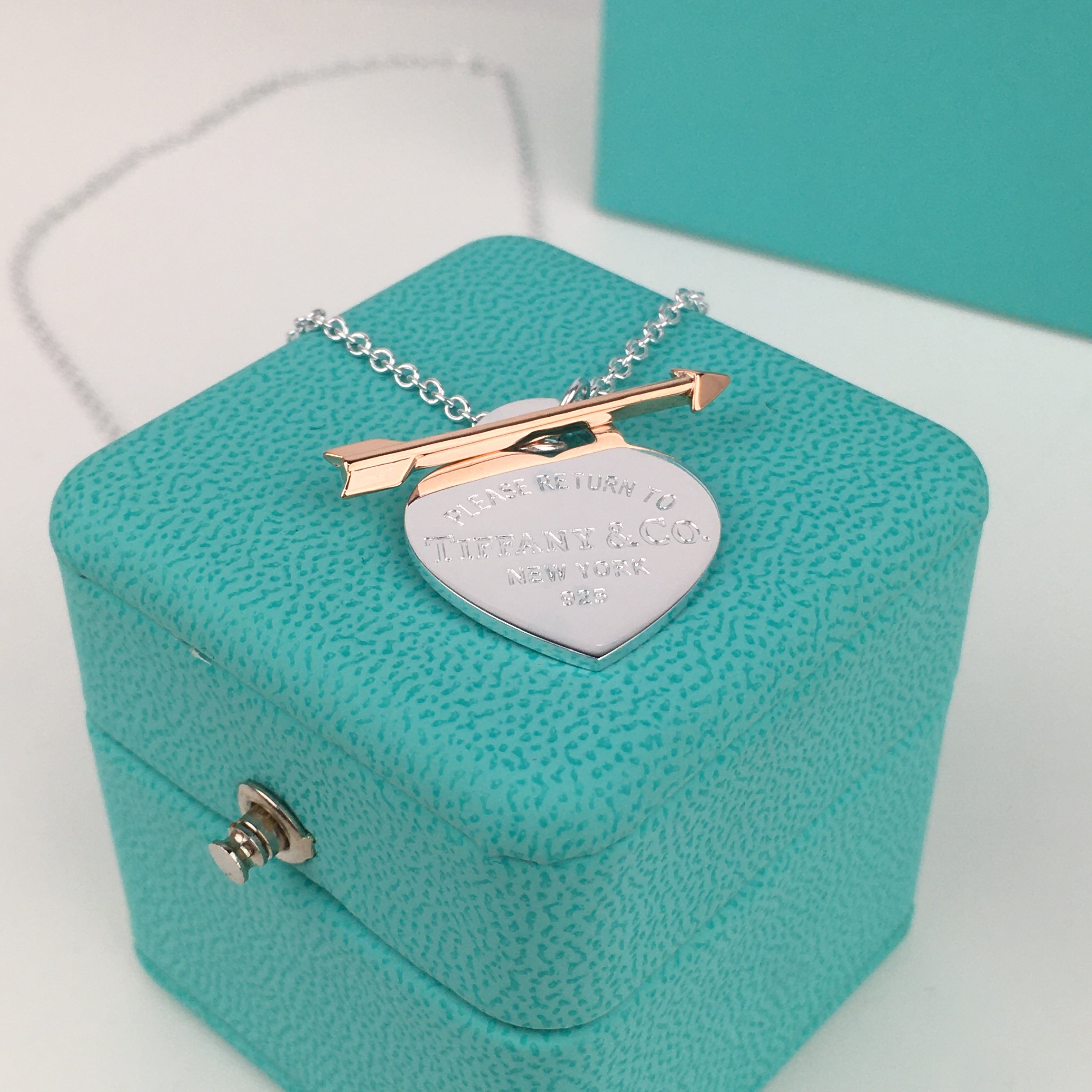 ® Lovestruck Heart Tag in Silver necklace