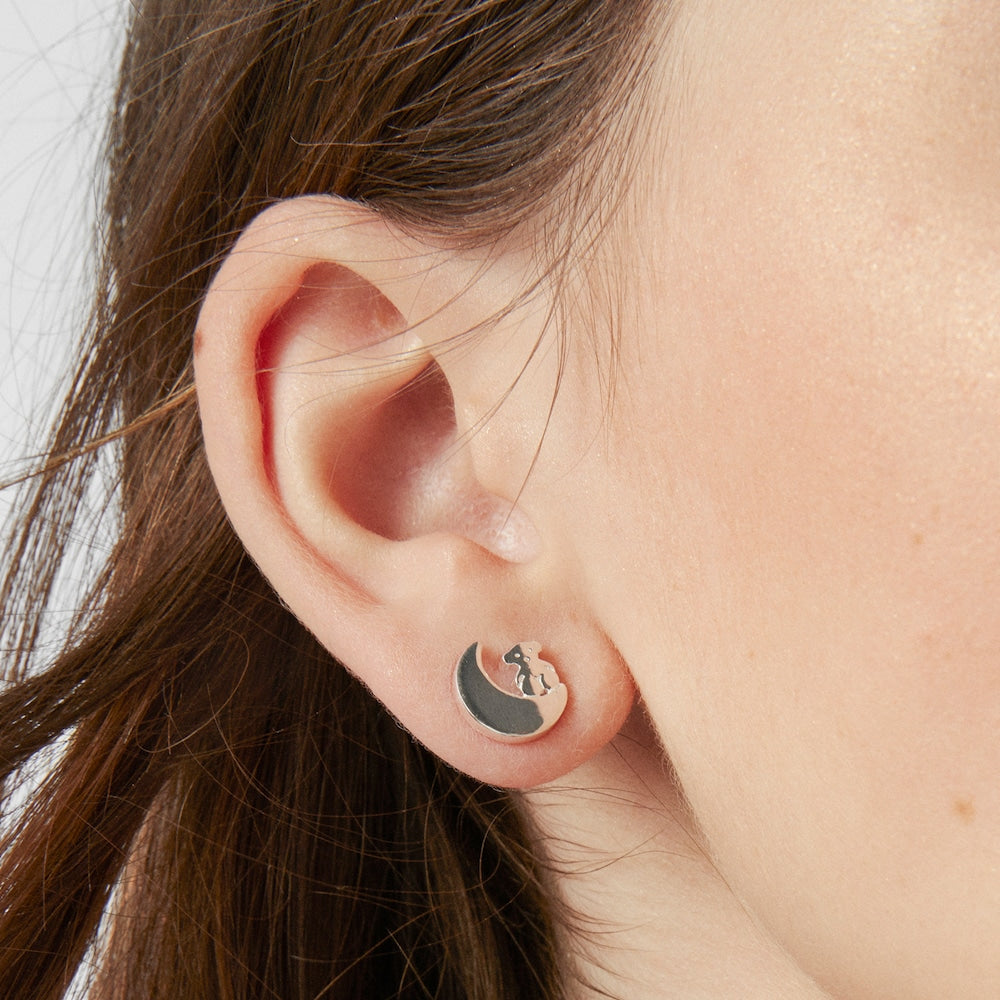 Nocturne Earrings in Silver |