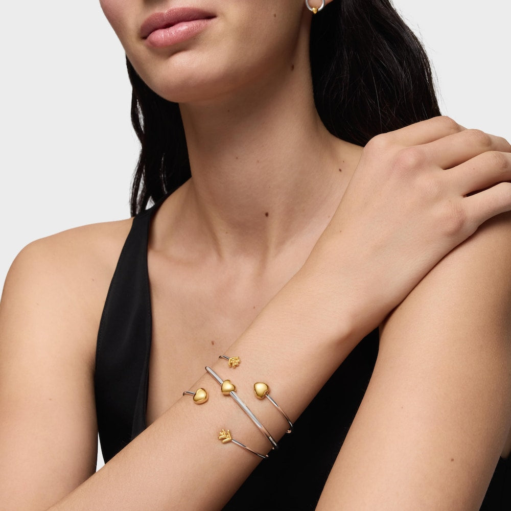 Two-tone Bangle Flechazo